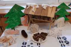 IMG-20250223-WA0024
