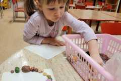 IMG-20250129-WA0074