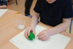 IMG_20250203_094449