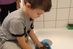IMG_20250207_101742