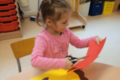 IMG_20250213_112454