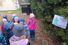 IMG_20241108_102747_1