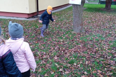 IMG_20241108_104908_1