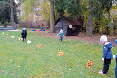 IMG_20241108_105650_1