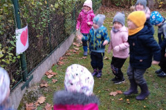 IMG_20241108_105958_1