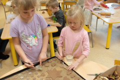 IMG_20241121_100553_1