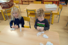 IMG_20241121_142850