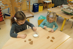 IMG_20241126_095200_1