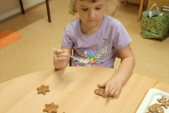 IMG_20241126_095215