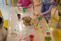 IMG_20241114_101615_1