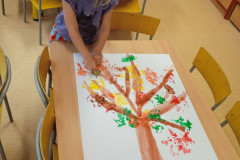 IMG_20241114_101633