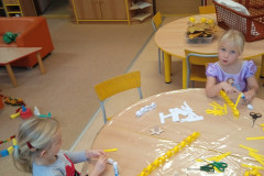 IMG_20241118_102129_1