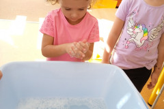 IMG_20240920_114111_1