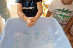 IMG_20240920_114226_1