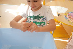 IMG_20240920_114312_1