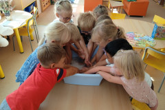 IMG_20240920_114551_1