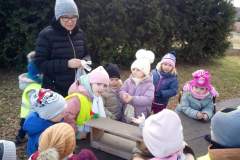 IMG-20250227-WA0008