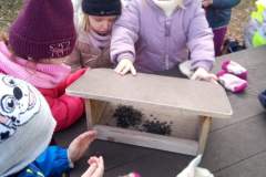 IMG-20250227-WA0019
