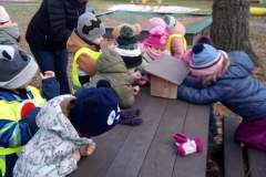 IMG-20250227-WA0021