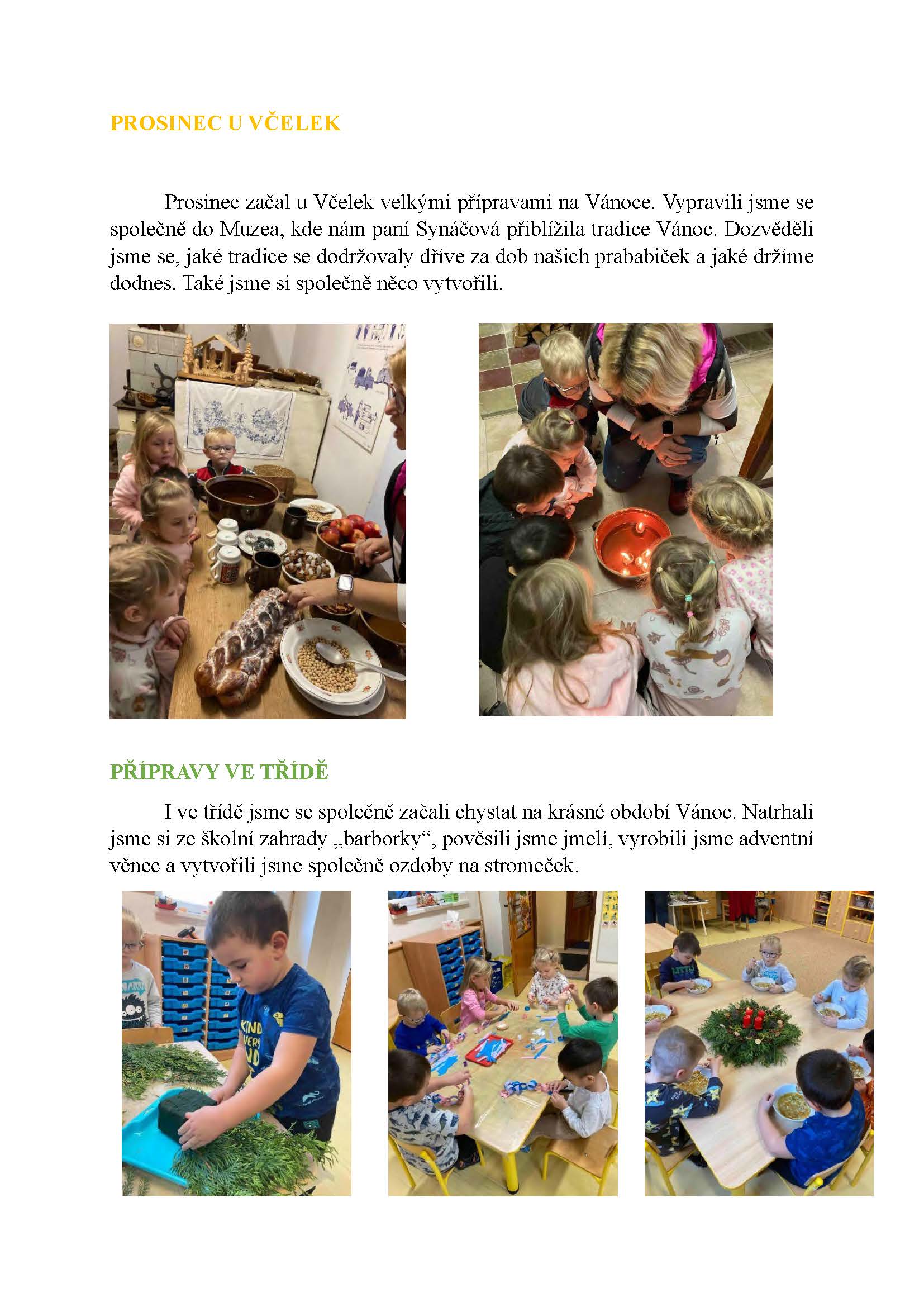 Včelky1225_Stránka_1