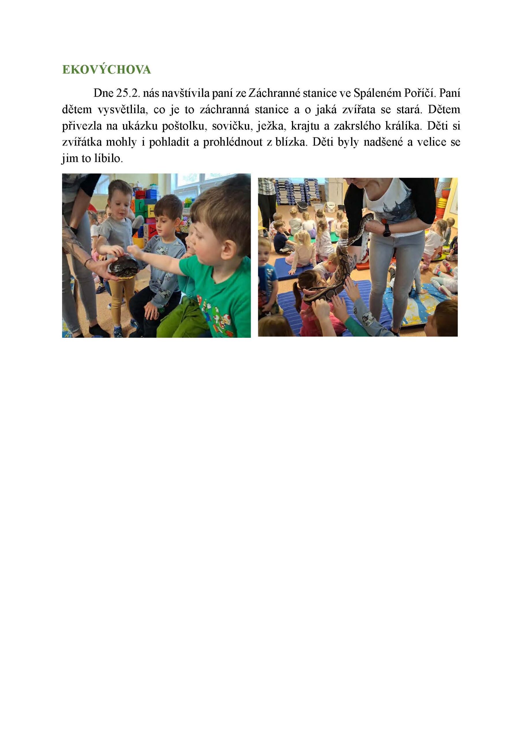 Motýlci022026_Stránka_3